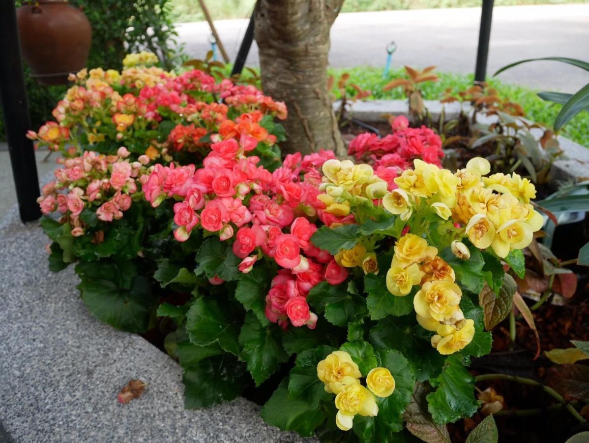 Look At Home Lamphun Εξωτερικό φωτογραφία